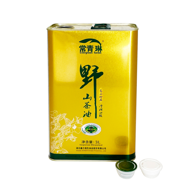 Customized Printing 3L Olive Oil Tin Can with Plastic Cap